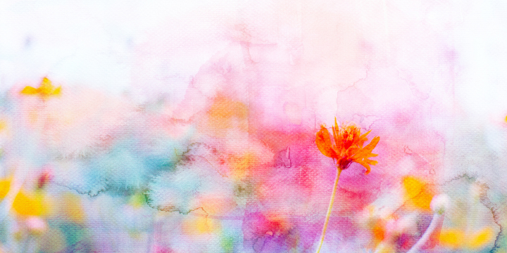 Aquarellbild mit Rottönen und einer Tulpe
